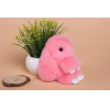 Fluffy Bunny/Pink